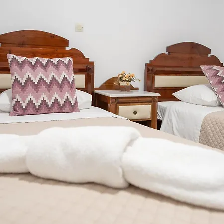 스텔라 카르테라도스